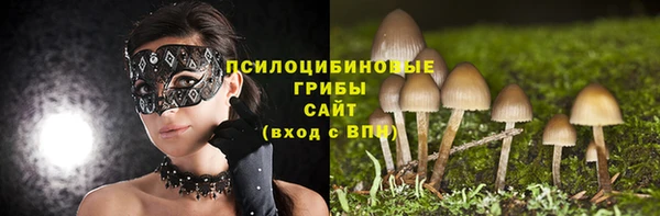 круглые Заводоуковск