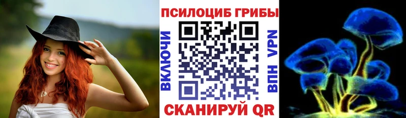 Псилоцибиновые грибы Cubensis  дарнет шоп  Кыштым 
